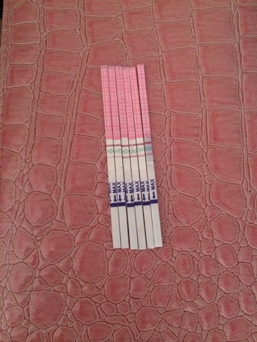 journal_insert_pic_161858343
