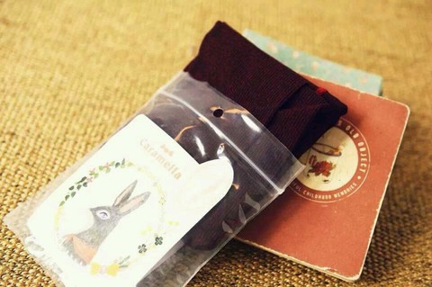 journal_insert_pic_162303916