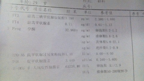 journal_insert_pic_162734968