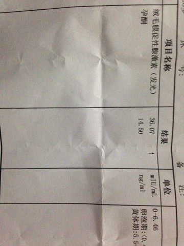 journal_insert_pic_163210228
