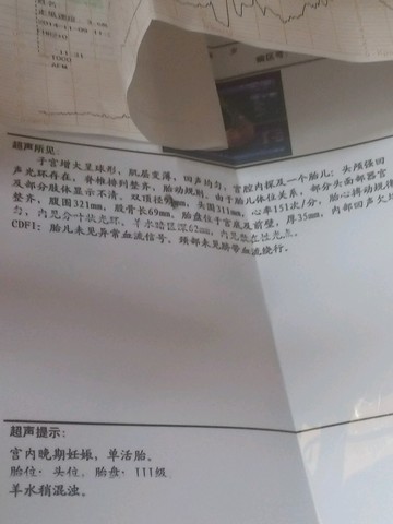 journal_insert_pic_166063011