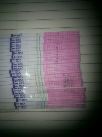 journal_insert_pic_166987089
