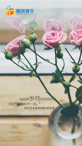 journal_insert_pic_167084934