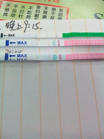 journal_insert_pic_167034276