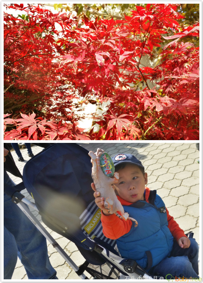 journal_insert_pic_167269221