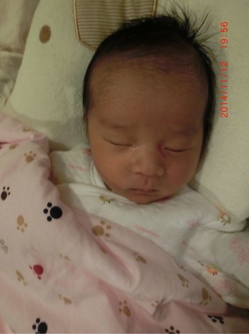 journal_insert_pic_168222624