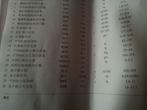 journal_insert_pic_168490414