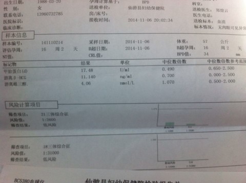 journal_insert_pic_168784639