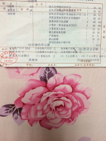 journal_insert_pic_168895213