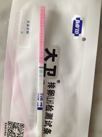 journal_insert_pic_169417593