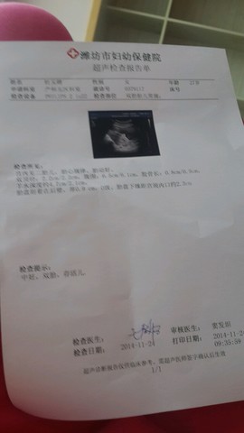 journal_insert_pic_169722398