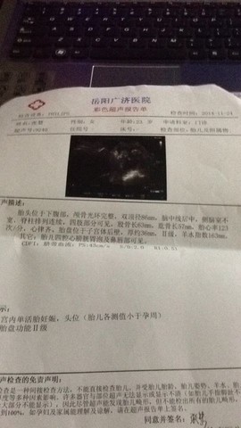 journal_insert_pic_170297245