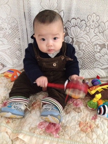 journal_insert_pic_170376070