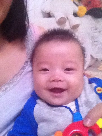 journal_insert_pic_170376098