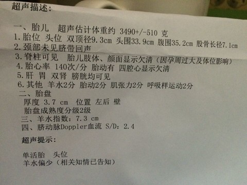 journal_insert_pic_170632974