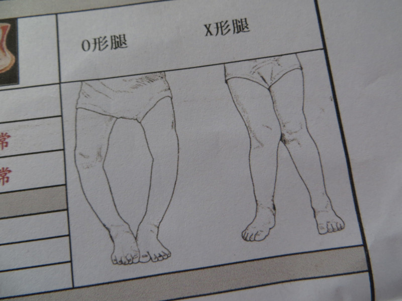 journal_insert_pic_170459649