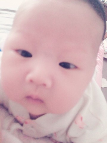 journal_insert_pic_170825592