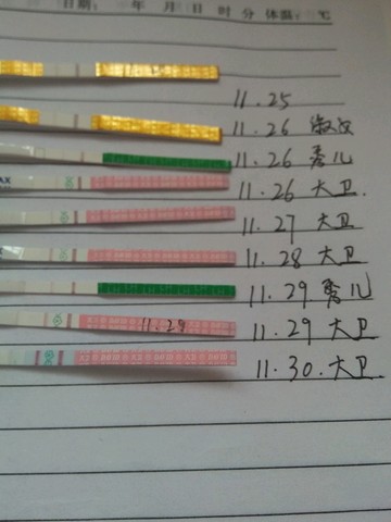 journal_insert_pic_171078830