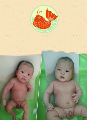 journal_insert_pic_171275462