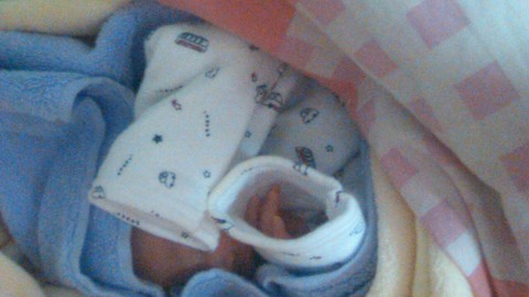 journal_insert_pic_172269519