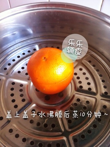 journal_insert_pic_173340923
