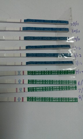 journal_insert_pic_174115032
