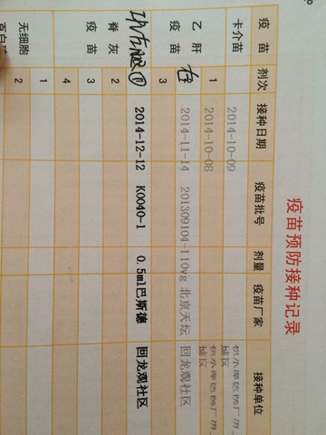 journal_insert_pic_175372431