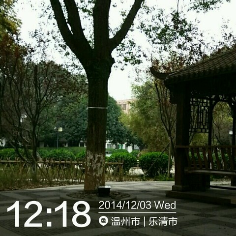 journal_insert_pic_175601639