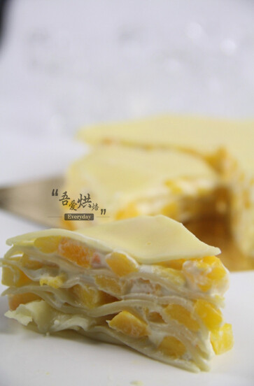 journal_insert_pic_176925759