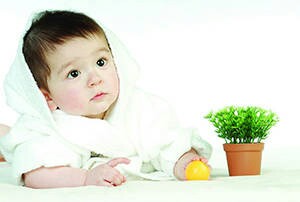 journal_insert_pic_177683050