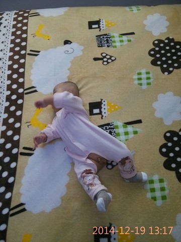 journal_insert_pic_180365228