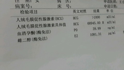 journal_insert_pic_181754041