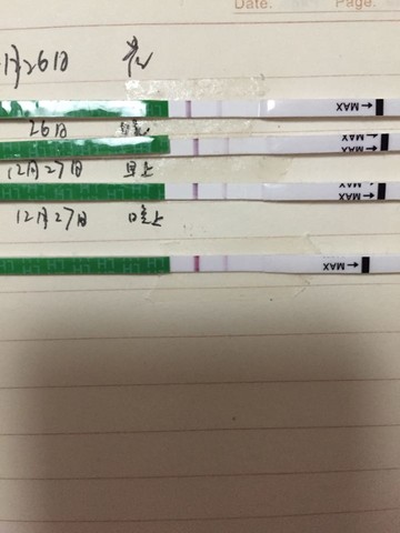 journal_insert_pic_182302400