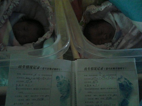 journal_insert_pic_183104734