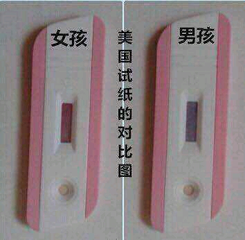 圈子 生男生女谈 哈利路亚我楼主 孕31周1天 5楼 2014-12-30