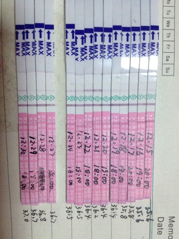 journal_insert_pic_183671692