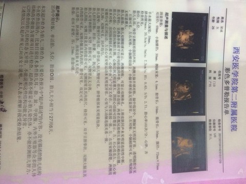 journal_insert_pic_185526505