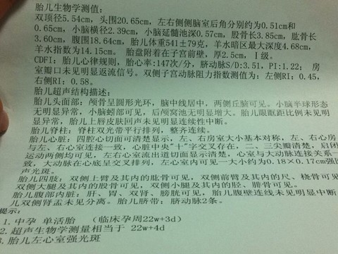 journal_insert_pic_185889635