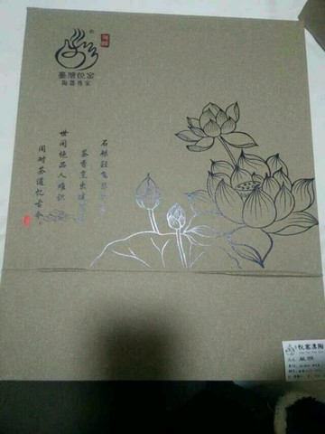 journal_insert_pic_189625816