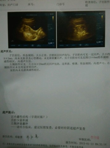 journal_insert_pic_189667504
