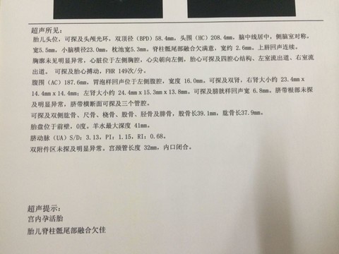 journal_insert_pic_190233306