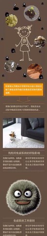 journal_insert_pic_190583889