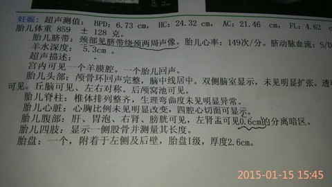 journal_insert_pic_190700452