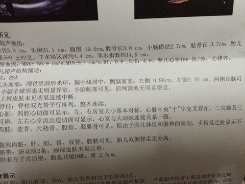 journal_insert_pic_193368417