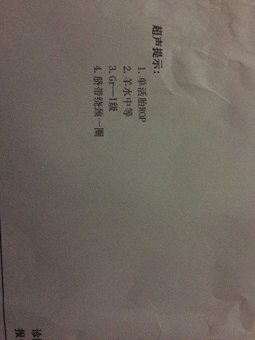 journal_insert_pic_193856754