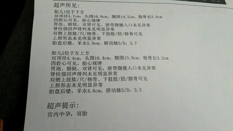 journal_insert_pic_199644721