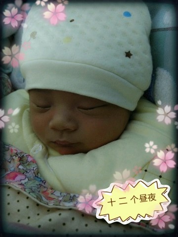 journal_insert_pic_201018712