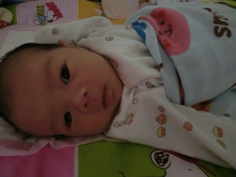 journal_insert_pic_201203446