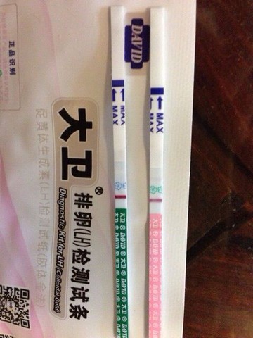journal_insert_pic_203496356