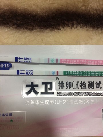 journal_insert_pic_203754058